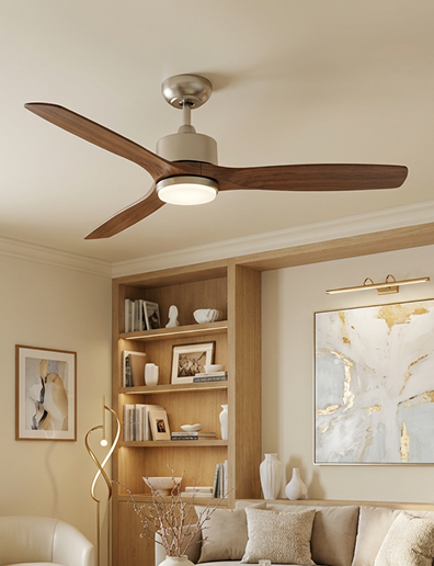 Ceiling fans